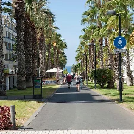 Optimist Americas * Playa de las Américas