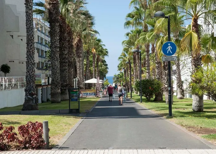 Optimist Americas * Playa de las Américas